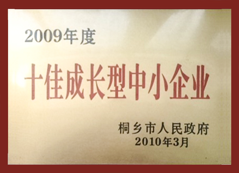 2009年度十佳成长型中小企业