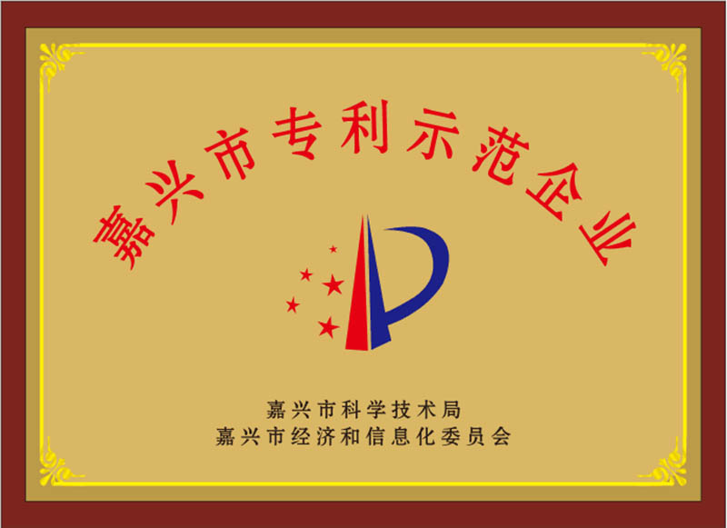 嘉兴市专利示范企业