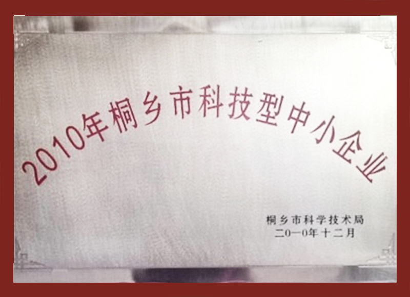 2010年桐乡市科技型中小企业